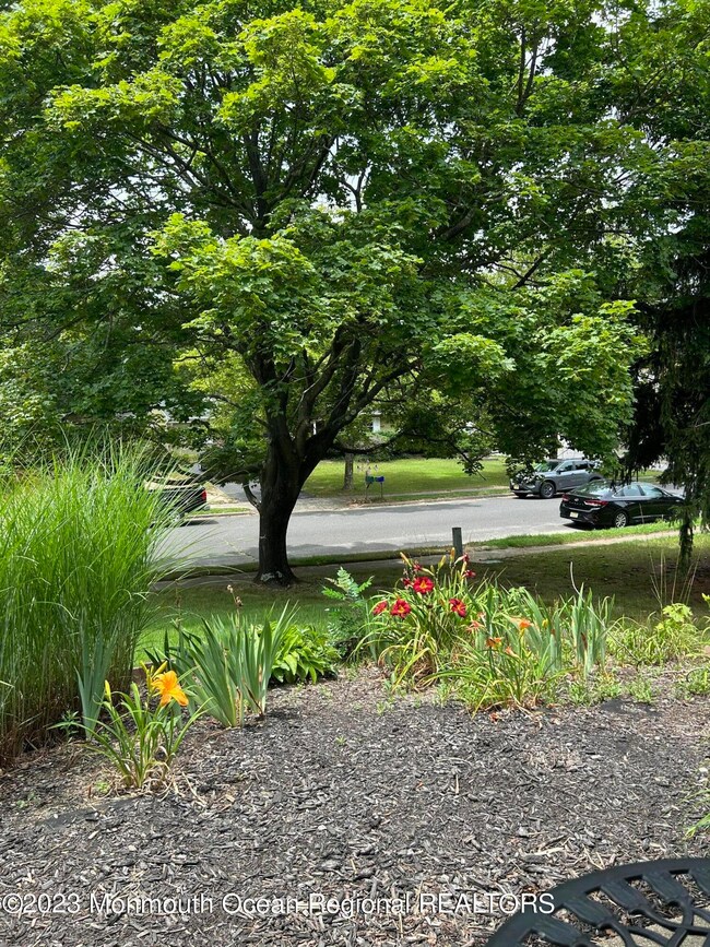 view from porch