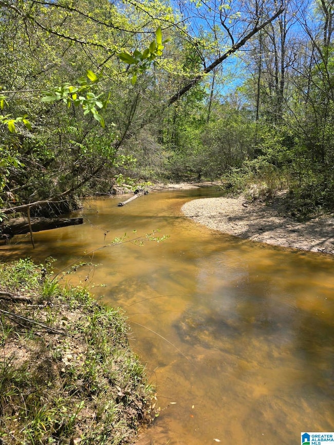 0 Highway 82 unit 21381429, Maplesville, AL 36750 - photo 6