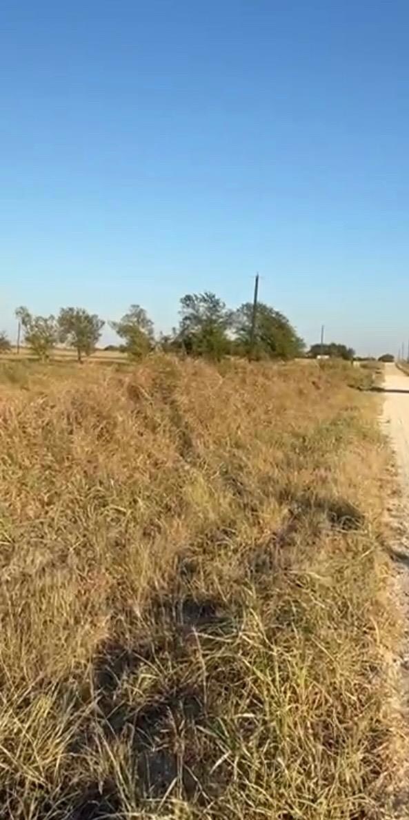 00 County Road 133 Center unit Lot 6, Ben Arnold, TX 76519 - photo 5