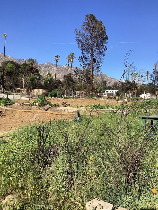 305 W Las Flores Dr, Altadena, CA 91001 - photo 4