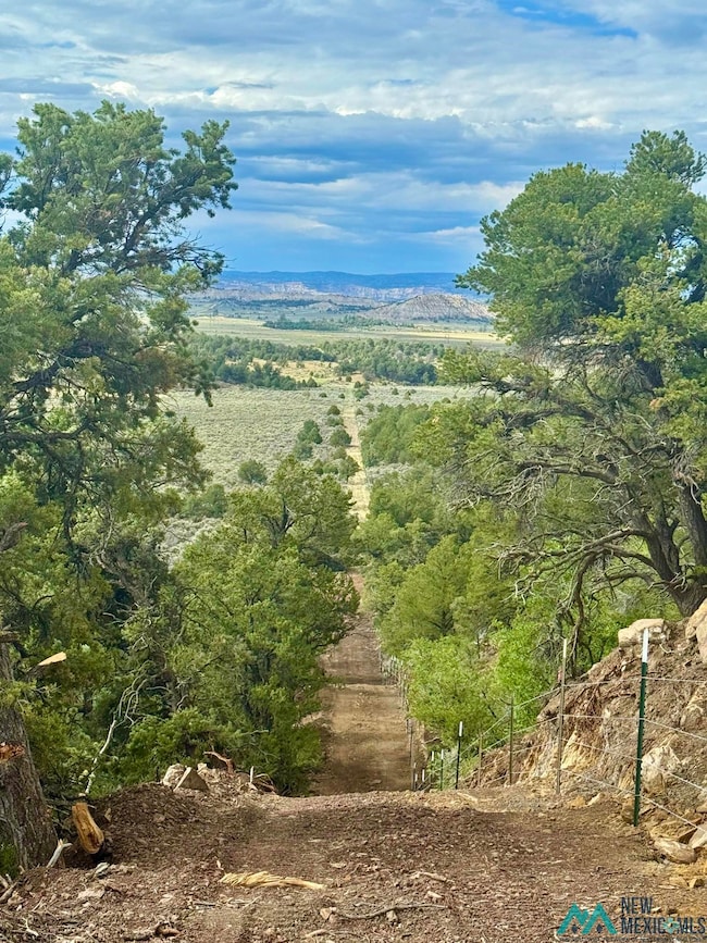 Highway 96 & 595 Hwy, Regina, NM 87017 - photo 5