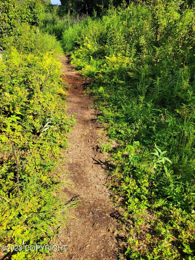 Tr 12 Tomski Ave, Anchor Point, AK 99556 - photo 4