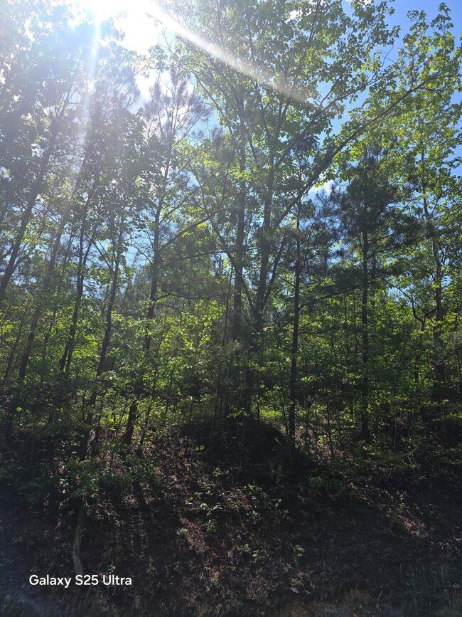 0 Millsap Rd unit 1511978, La Fayette, GA 30728 - photo 3