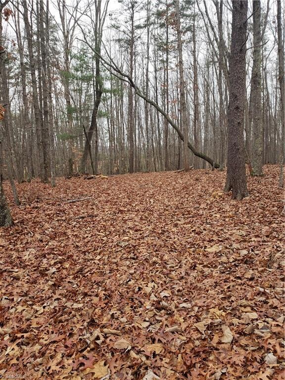 00 Stephens Trail Rd, Sandyridge, NC 27046 - photo 7