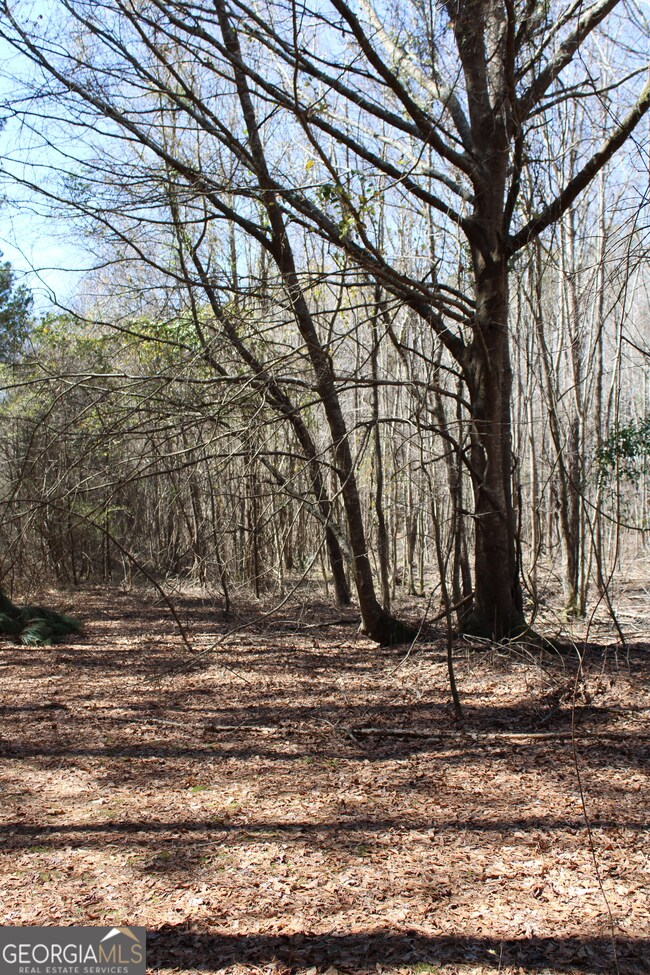 0 Jackson Gin Rd unit 10469996, Harrison, GA 31035 - photo 6