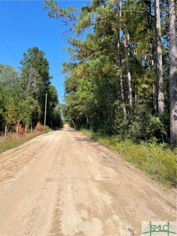 0 Old Augusta Rd unit 319739, Clyo, GA 31303 - photo 4