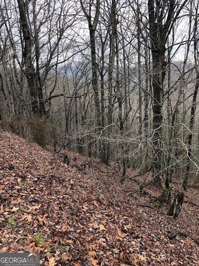 0 Brown Mountain Rd unit 10424867, Flats, NC 28775 - photo 3