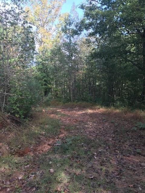 00 Highway 515 S, Jasper, GA 30143 - photo 4