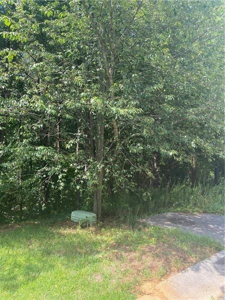 41 Etowah Ln SW, Cartersville, GA 30120 - photo 2