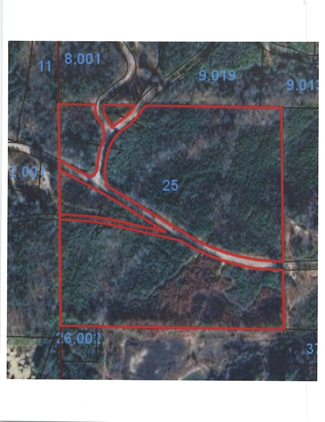 0 Old Bankhead Hwy, Cordova, AL 35550 - photo 2