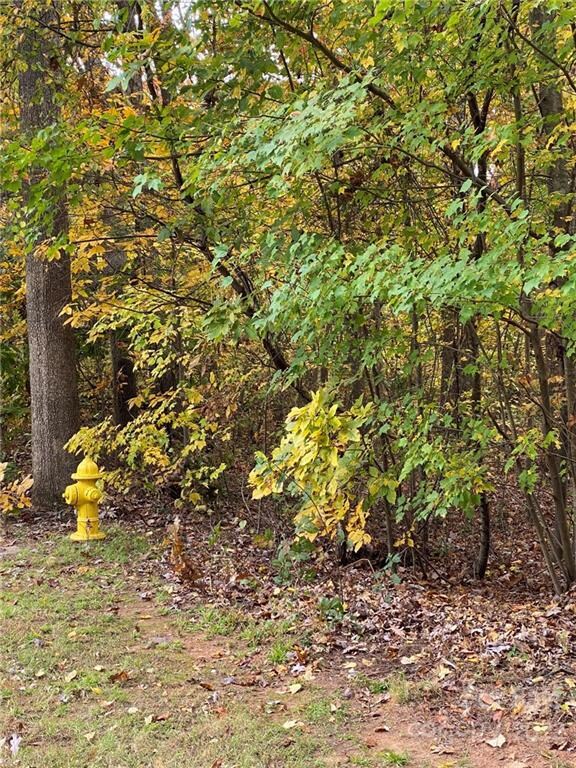 127 Trillium Dr unit 31, Statesville, NC 28625 - photo 5