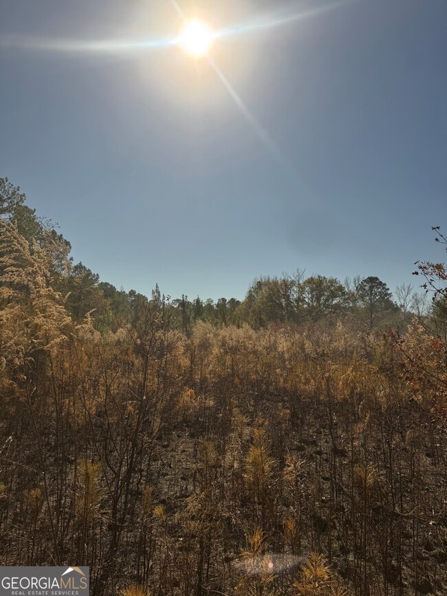 4527 Georgia 18, West Point, GA 31833 - photo 3