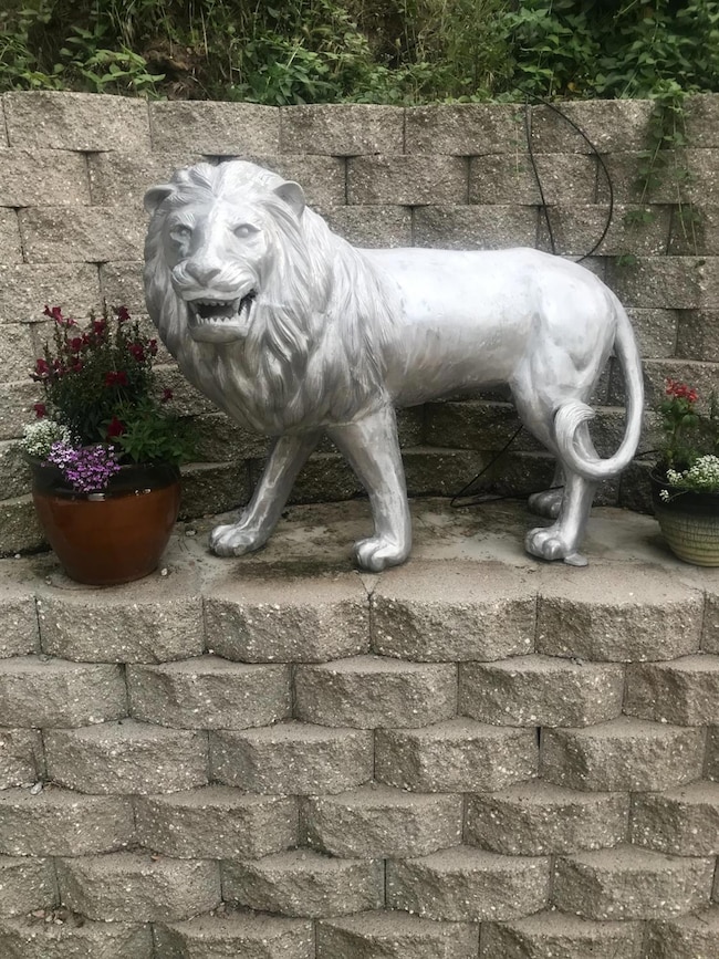 51571 Coyote Ridge Rd, Oakhurst, CA 93644 - photo 5