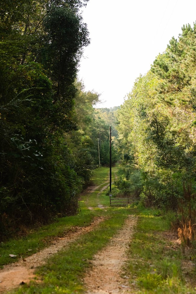 15816 Roberts Rd, Opp, AL 36467 - photo 7