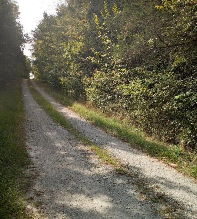 Lot 3 Lakeridge Estates Old Pace Lane