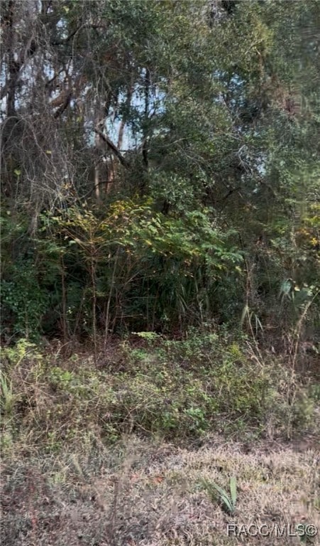 751 N Corbin Ave, Inverness, FL 34453 - photo 2