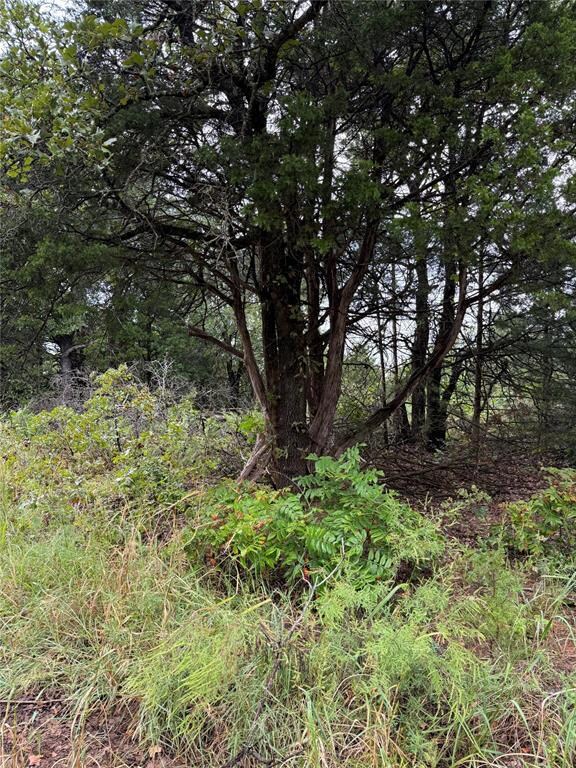 850 E 850 Rd, Chandler, OK 00000 - photo 5