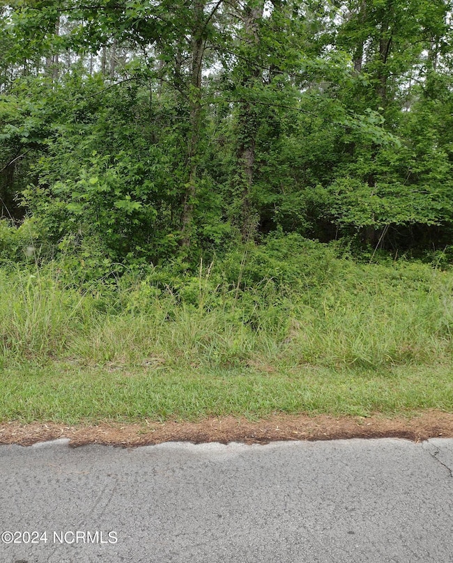 118 Cedarwood, Havelock, NC 28532 - photo 3