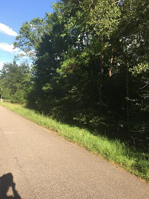 0 West Ln, Magnolia, TX 77354 - photo 2