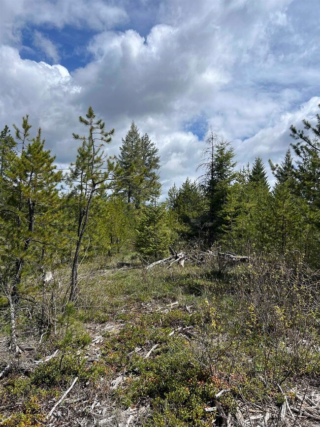 NKA - parcel #2 U S Highway 2, Newport, WA 99156 - photo 7