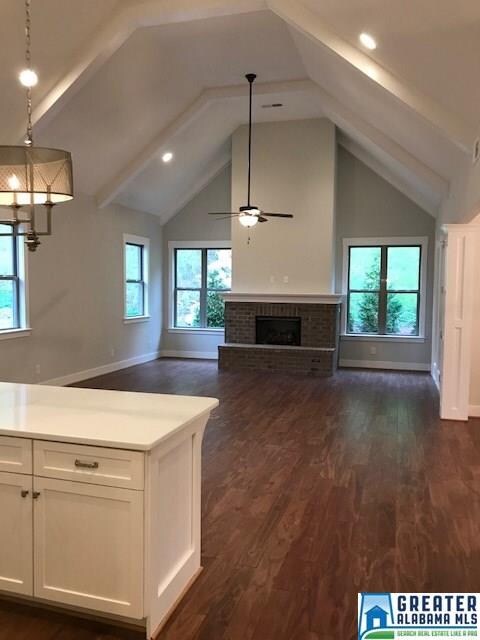 The kitchen and great room have a huge vaulted cei