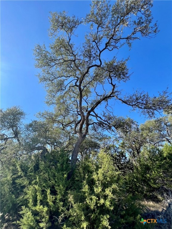 1215 Powder Ridge, New Braunfels, TX 78132 - photo 4