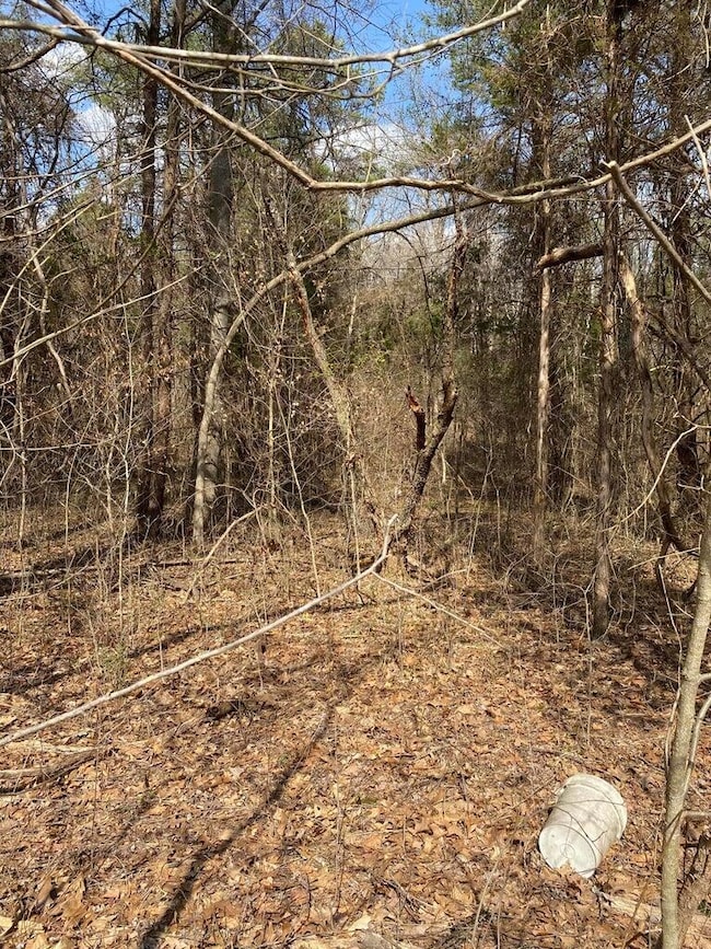 Palisades 3