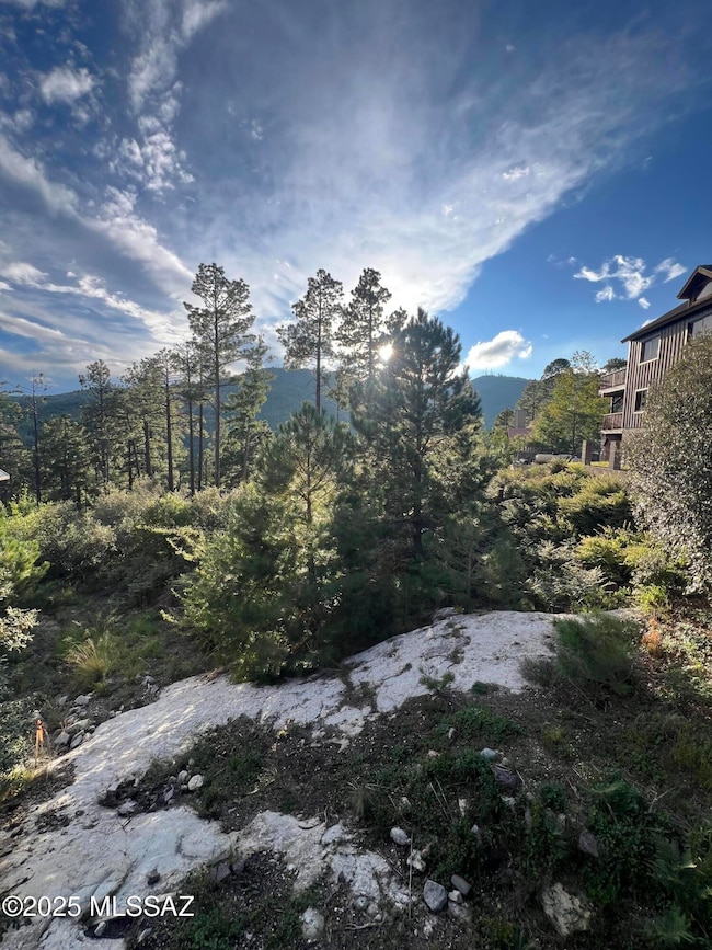 12625 N Ajo Ave unit 9, Mt. Lemmon, AZ 85619 - photo 7