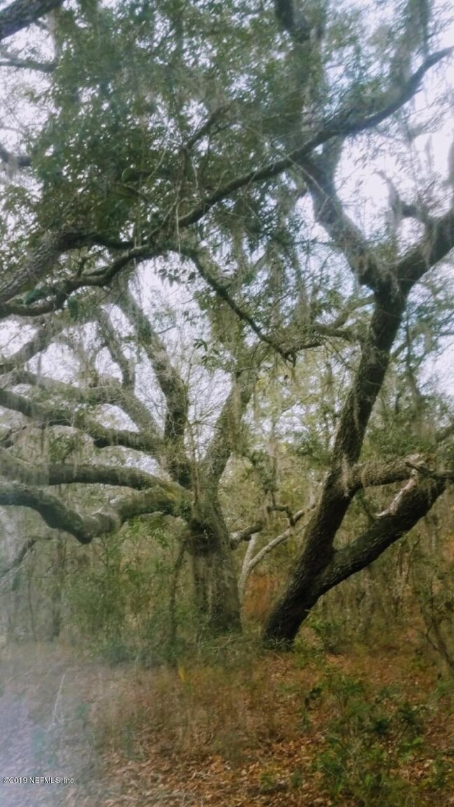 Image-1(2)