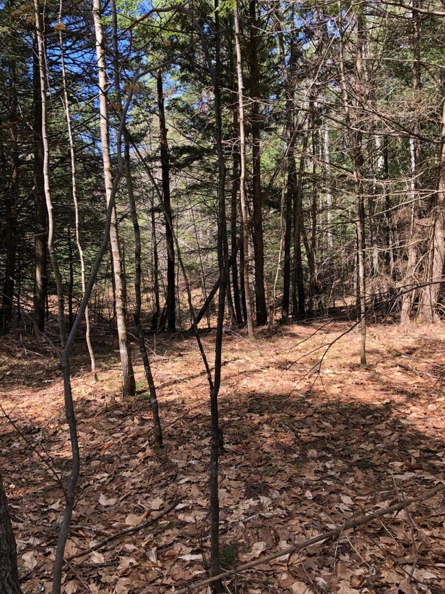 Lot 57 Waycross Way, Limerick, ME 04048 - photo 2