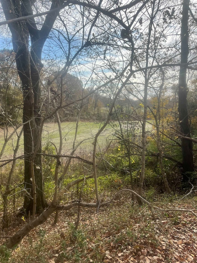 00 Scholes Ln, Stanton, TN 38069 - photo 7