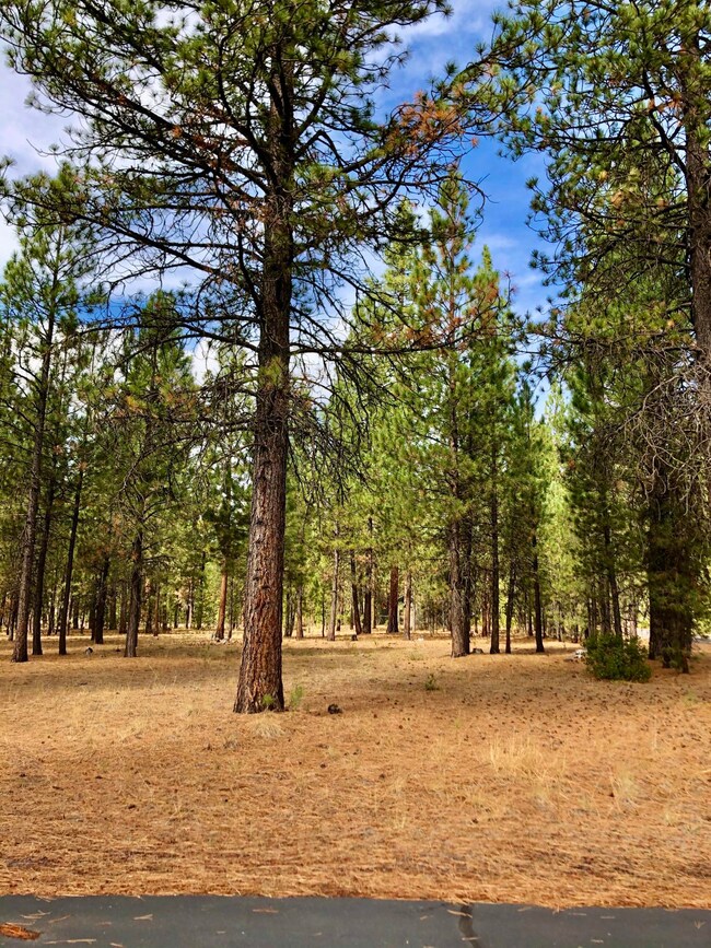 14159 Whitewater Loop, La Pine, OR 97739 - photo 6