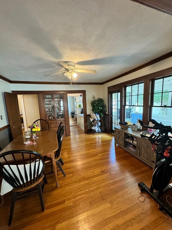 82 Spruce St unit 82, Watertown, MA 02472 - photo 5