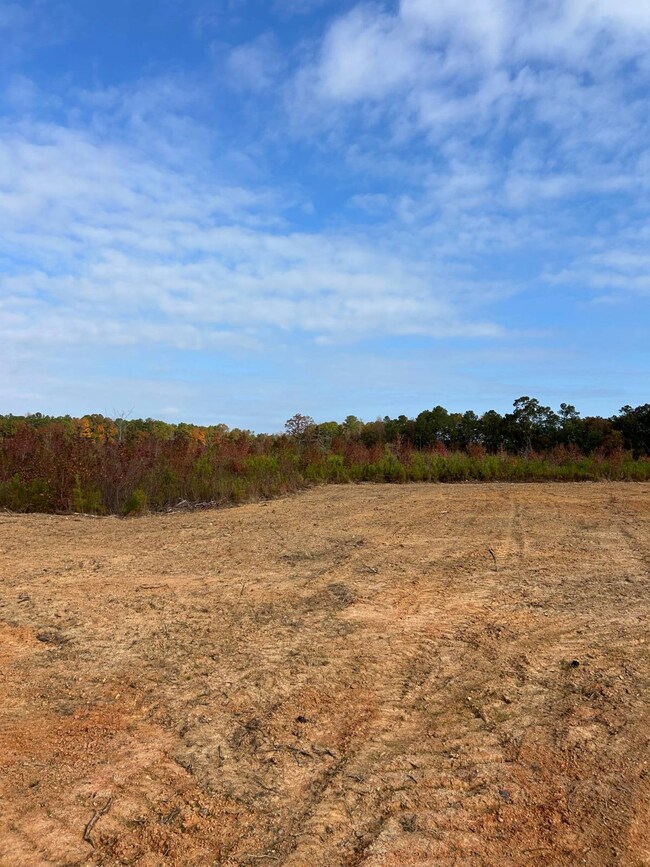 033 State Road S-40-232 unit 33, Elgin, SC 29045 - photo 4