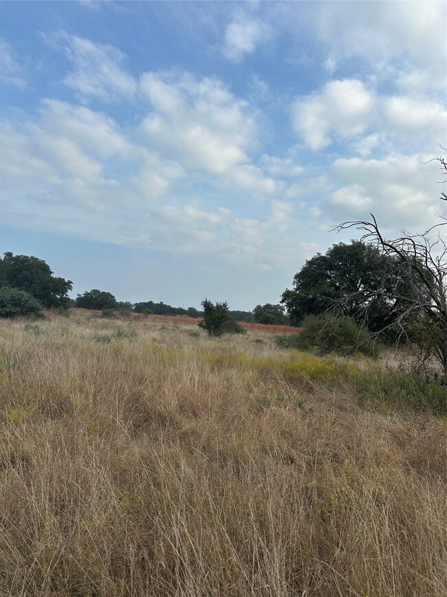 951 Fm 573 S, Mullin, TX 76864 - photo 4