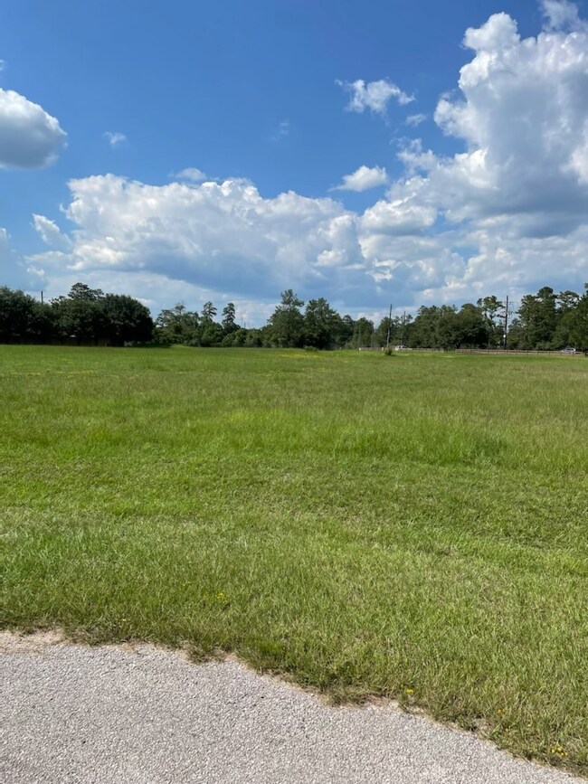 300 Meadow Lake, Magnolia, TX 77355 - photo 7