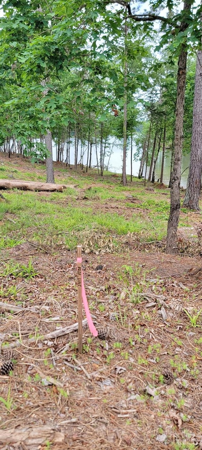 View from property to the lake