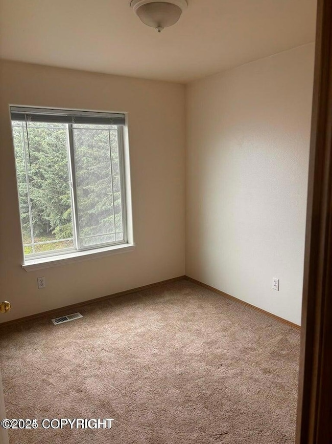 6800 Gold Kings Ave unit D, Anchorage, AK 99504 - photo 6