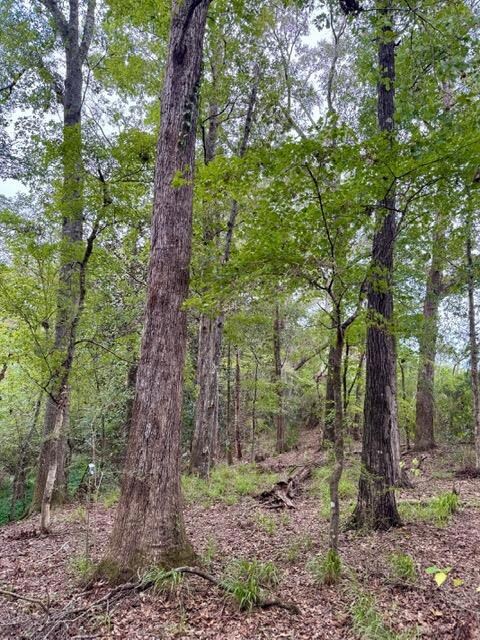 11009 E State Highway 52, Webb, GA 30376 - photo 2