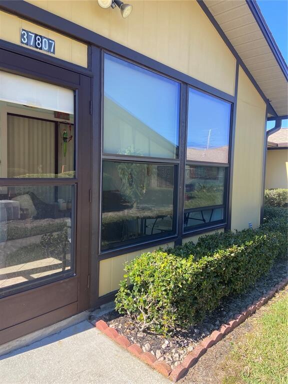 Nice Windows