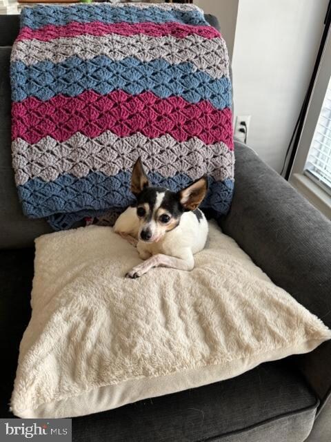 2504 Amber Orchard Ct W unit 104, Odenton, MD 21113 - photo 6