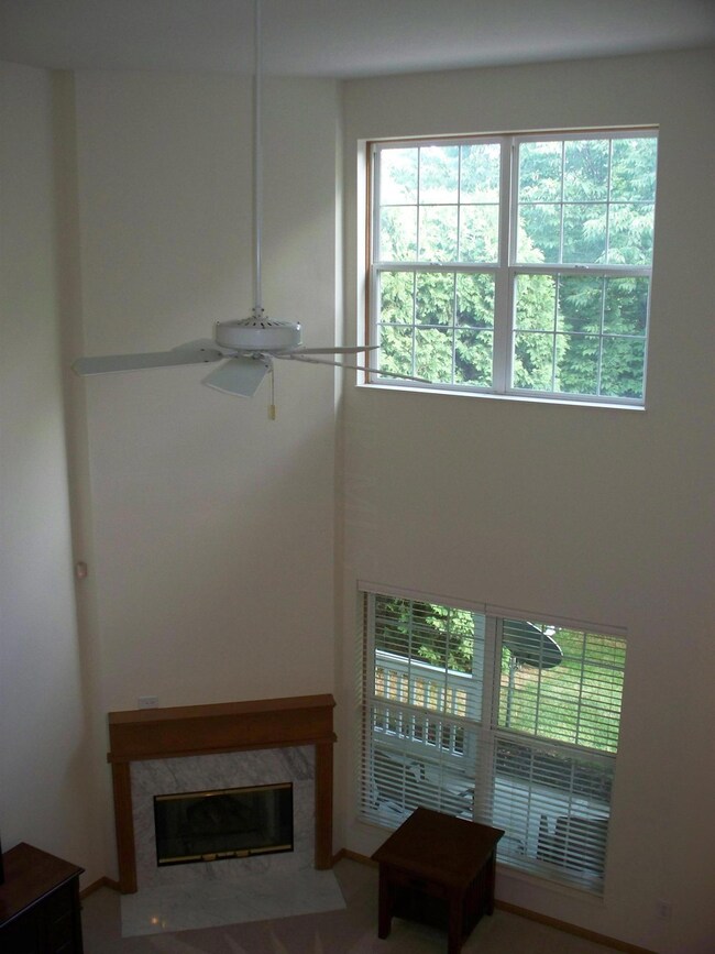 Great Room Windows