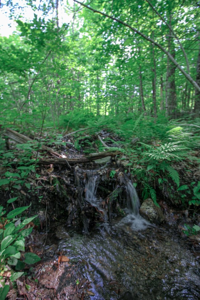 Babbling Stream