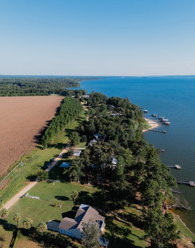 72 County Line Rd, Georgetown, GA 39854 - photo 3