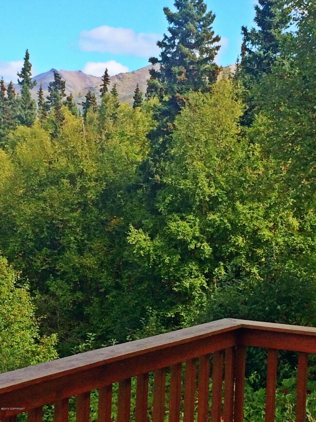Trees behind home