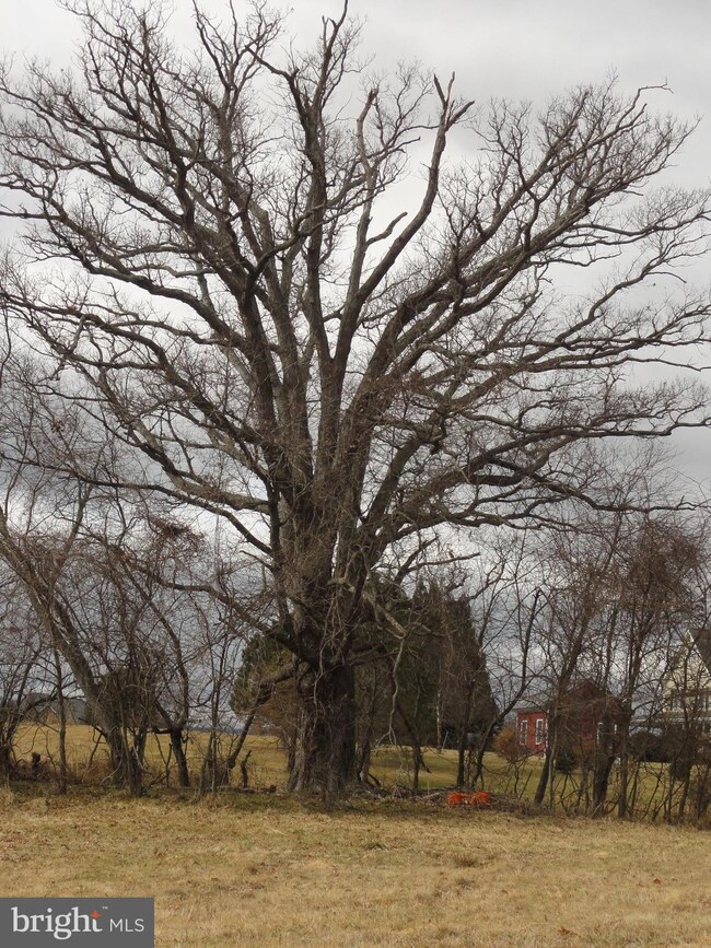 16519 Lance Trail Ct, Hamilton, VA 20158 - photo 5