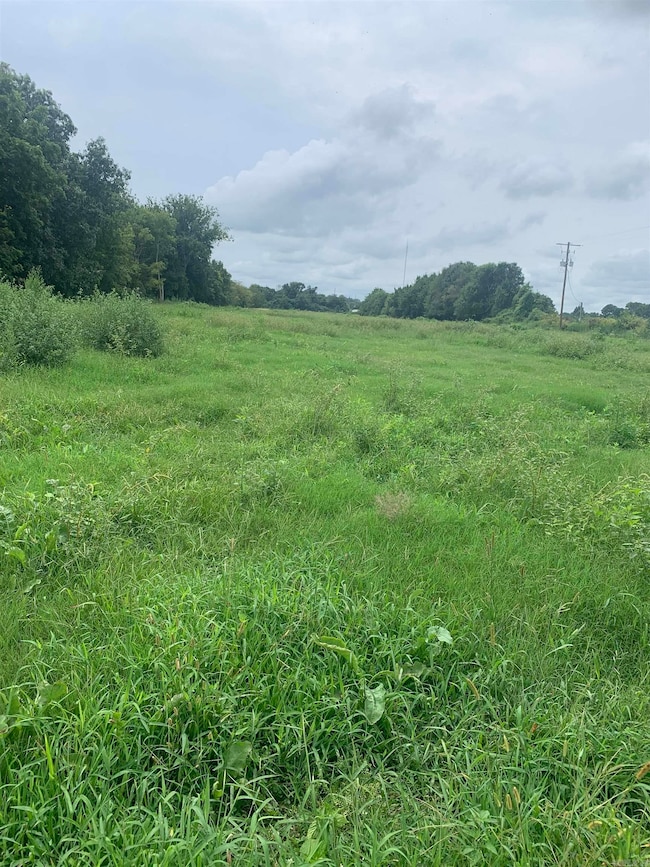 21 Acres W Oak St, Walnut Ridge, AR 72476 - photo 4