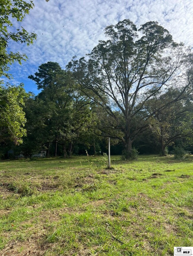 0 Old Snipe Rd, Ruston, LA 71270 - photo 2