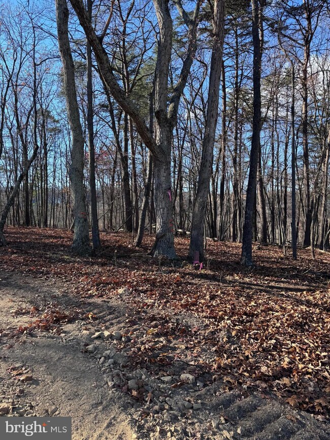 0 Young Ln unit 10, Berkeley Springs, WV 25411 - photo 2