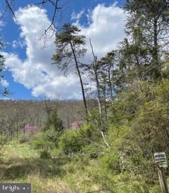 LOT 18 Warden Lake, Wardensville, WV 26851 - photo 2